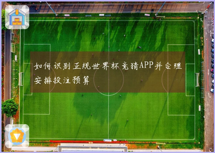 如何识别正规世界杯竞猜APP并合理安排投注预算