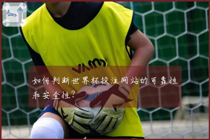 如何判断世界杯投注网站的可靠性和安全性？